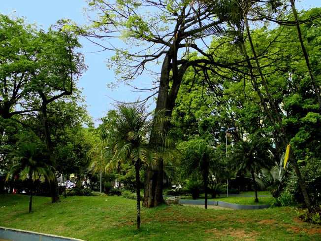 sao-caetano-do-sul, centro-digital-ensino-fundamental